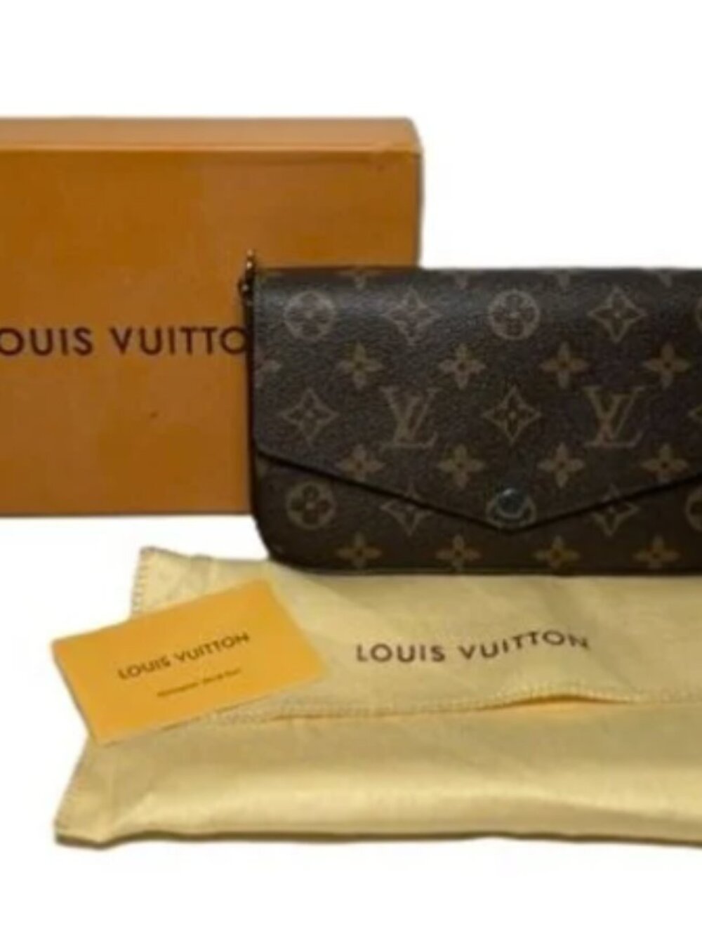 Louis Vuitton Pochette Félicie